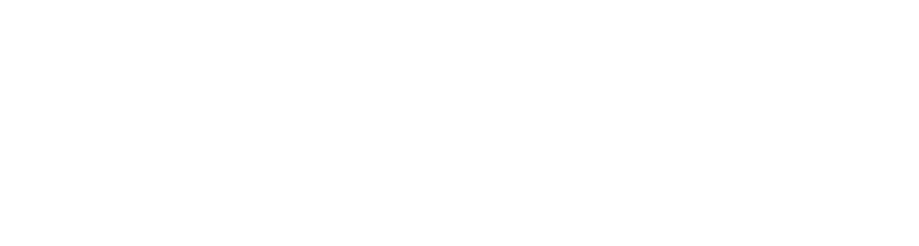 Professional Store Footer Logo